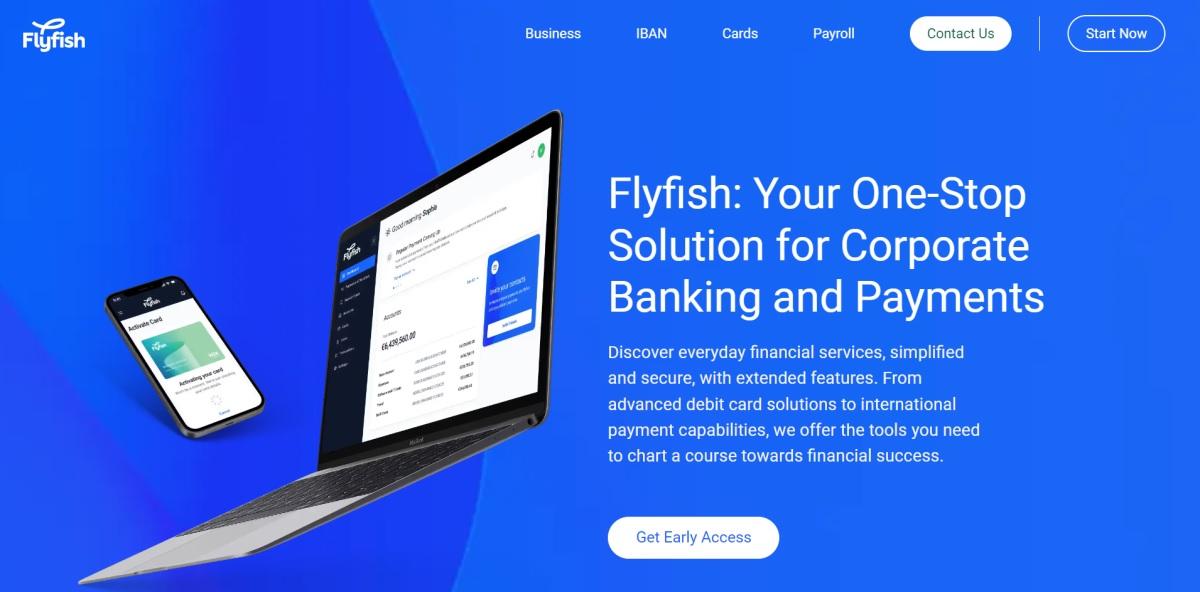 Flyfish Review – Understanding What this Corporate IBAN Account Provider Offers