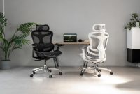 SIHOO Doro C300 Ergonomic Office Chair Review: A Revolution in Comfort and Support Under 0