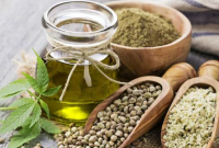 Unveiling the Benefits of Organic Hemp Oil Usage 