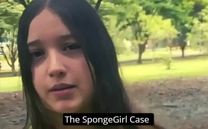 The SpongeGirl Case Vom viralen Trend zur kulturellen Wirkung