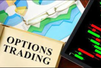 Options Advisory Service Signals from Experienced Traders