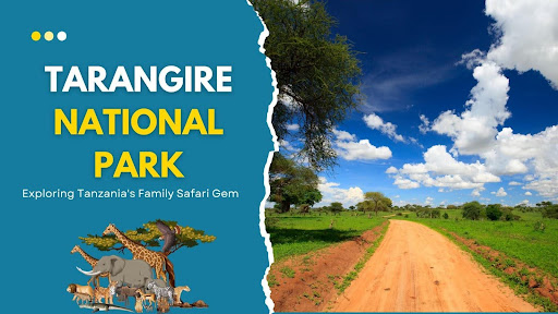 Tarangire National Park: Exploring Tanzania’s Family Safari Gem