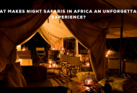 What Makes Night Safaris in Africa an Unforgettable Experience?