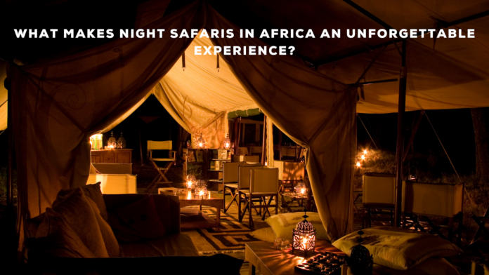 What Makes Night Safaris in Africa an Unforgettable Experience?