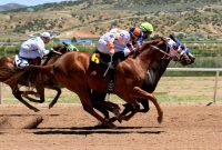 How is Horse Racing Set to Advance in the Crypto World?