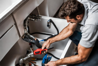  Plumbing Prowess: A Roadmap to Savings and Stress-Free Living