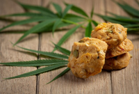 The Ultimate Guide to Crafting Perfect Cannabis Edibles at Home