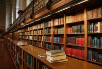 Unveiling the Mystery of Z Library and its Contingencies