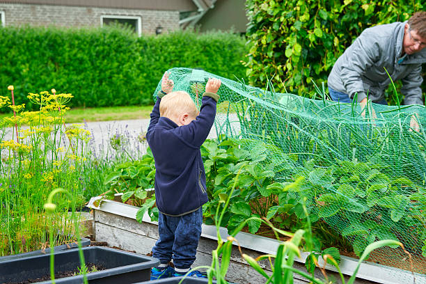 Maximizing Garden Yield: The Benefits of Using Netting