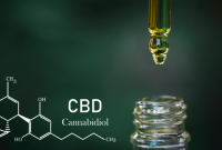 Considerations To Take Before Choosing The Right CBD Products