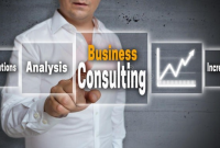 Unlocking the Potential of Business Process Consulting for Small Businesses