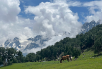 Discover The Most Spectacular Trekking Trails In Kashmir Valley