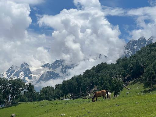 Discover The Most Spectacular Trekking Trails In Kashmir Valley