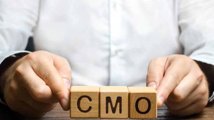 Navigating the Seas of Startup Success a Deep Dive into Engaging a Fractional CMO