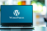 Elevate Your Online Presence: A Comprehensive Guide to WordPress Website Creation and Hosting Services