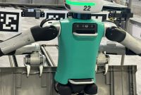 The loneliness of the robotic humanoid