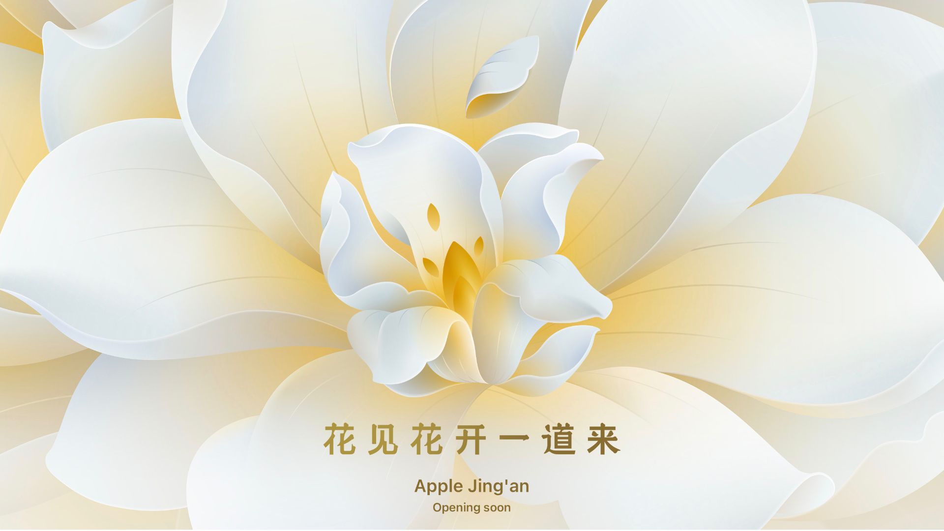 Apple’s Eighth Retail Store in Shanghai Expected to Open This Month